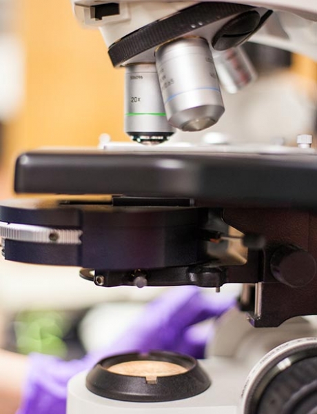 FOS_470x620_lab-work-7_scope