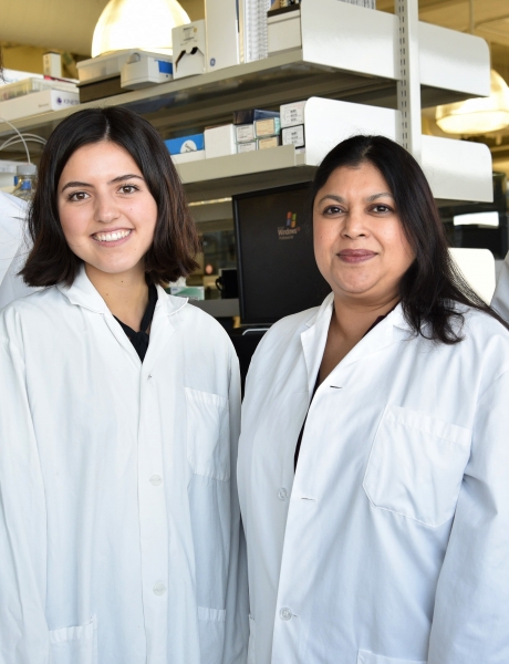 Lab Team 2
