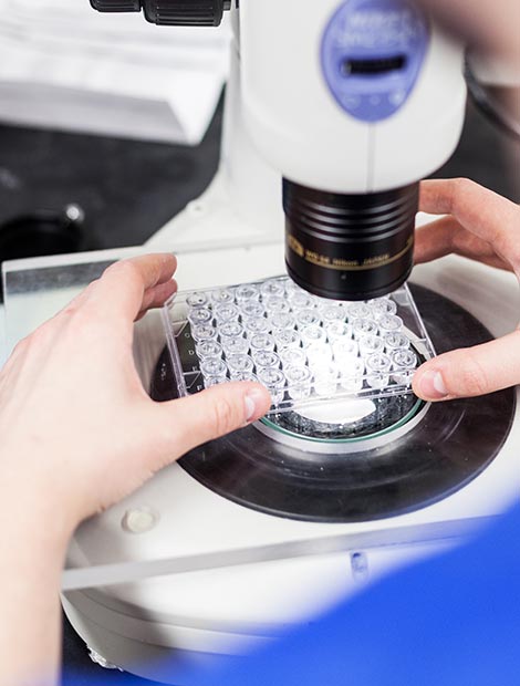 FOS_470x620_student-lab